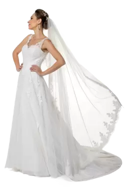 Imagen PNG para descargar